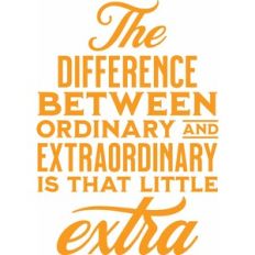 the difference between ordinary and extraordinary