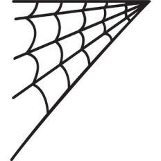 Spider Web