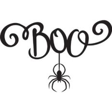 Boo Spiderweb