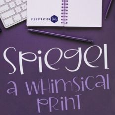 ZP Spiegel Lite