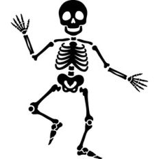 Skeleton