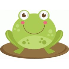 cute frog