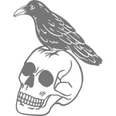 Skull with crow