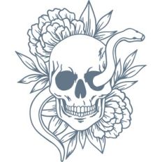 Skull with snake