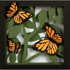 3d butterfly shadow box