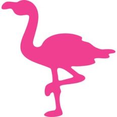 fashion flamingo