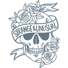strange and unusual skull