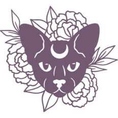 floral sphinx cat