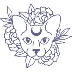 floral sphinx cat