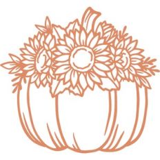 sunflower pumpkin
