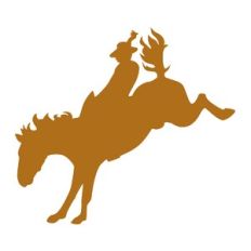 Cowboy on Horse