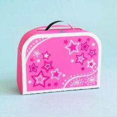 Hot Pink Stars 3D Lunch Box