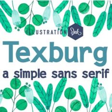 ZP Texburg Bold
