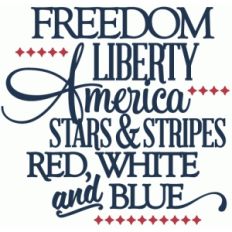 freedom, liberty, america - vinyl phrase