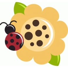 ladybug on flower