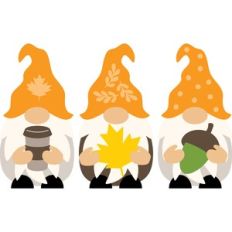 Fall Gnomes