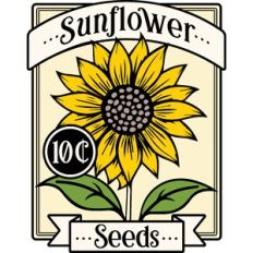 Sunflower Seeds
