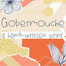 PN Gobermouche Lite