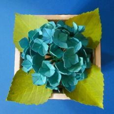 Easy Hydrangea