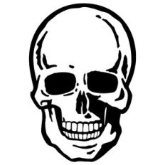 skull