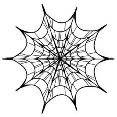 Fancy Spiderweb