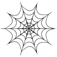 Spiderweb