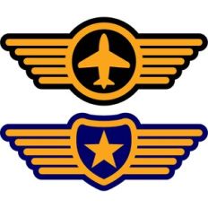 pilot symbols