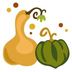 Squash Set
