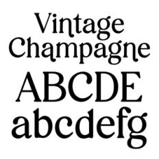 BFC Vintage Champagne Modern Classy Retro Serif Font