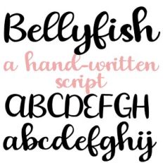 PN Bellyfish