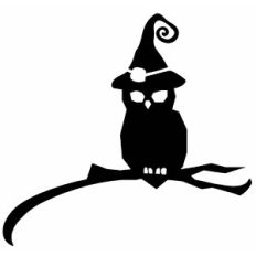 Halloween Witch Owl