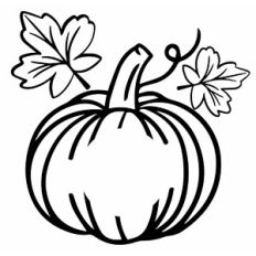 Pumpkin and Leaves