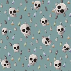 Potion Fun with Skulls On teal