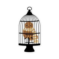 Owl in Cage