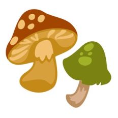 Mushrooms