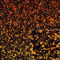 halloween splatter background