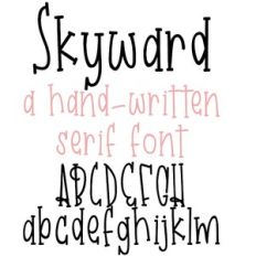 ZP Skyward