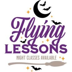 flying lessons