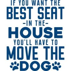 if you want the best seat in the house
