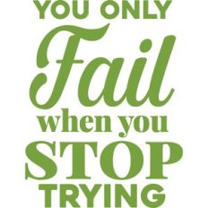 you only fail when you stop trying
