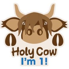 Holy Cow Birthday
