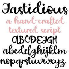 ZP Fastidious Stencil