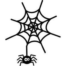 Spider Web