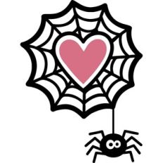 Spider Web