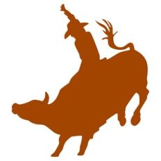 Cowboy on Bull
