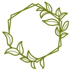 Geometric Frame