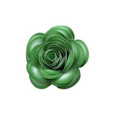 GREEN SPIRAL FLOWER 81
