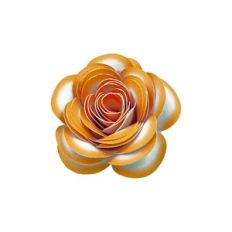 ORANGE SPIRAL FLOWER 81