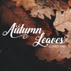 Autumn Leaves Ultimate Font