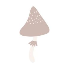 Tan Mushroom